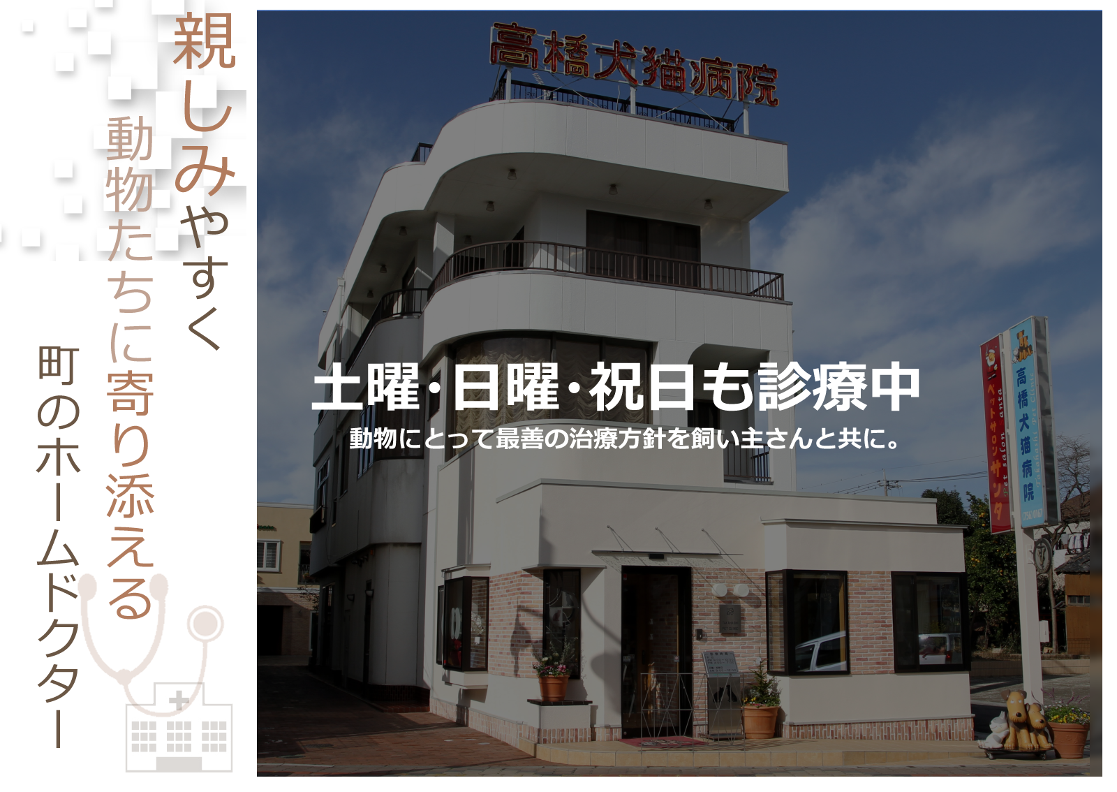 高橋犬猫病院 Takahashi Pet Clinic