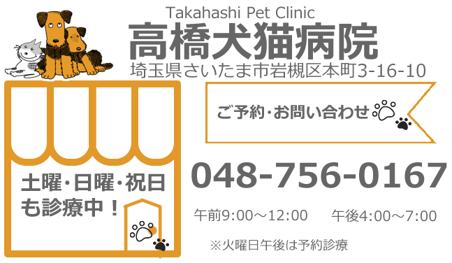 高橋犬猫病院 Takahashi Pet Clinic